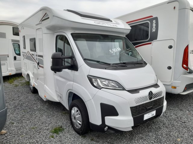 Giottiline Siena 330