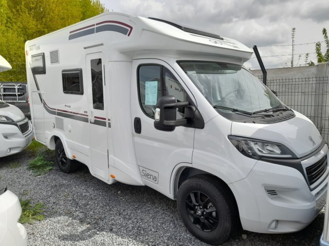 Giottiline Siena 322