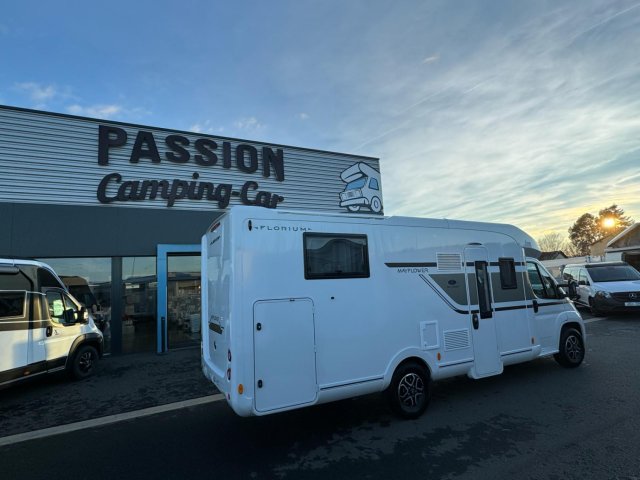 Florium Mayflower 74 LMF