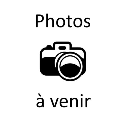 Mc Louis MC4 381 MC4-381 MATIC BVA