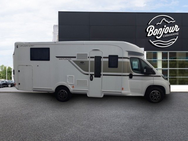 Florium Mayflower 74 LMF millenium