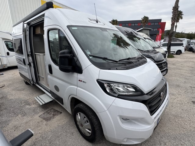 Mc Louis Menfys Van 3 YEARLING